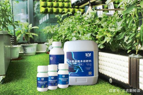 皇圖生態農業 立足魚肽有機肥自主研發，引領綠色種植新革命
